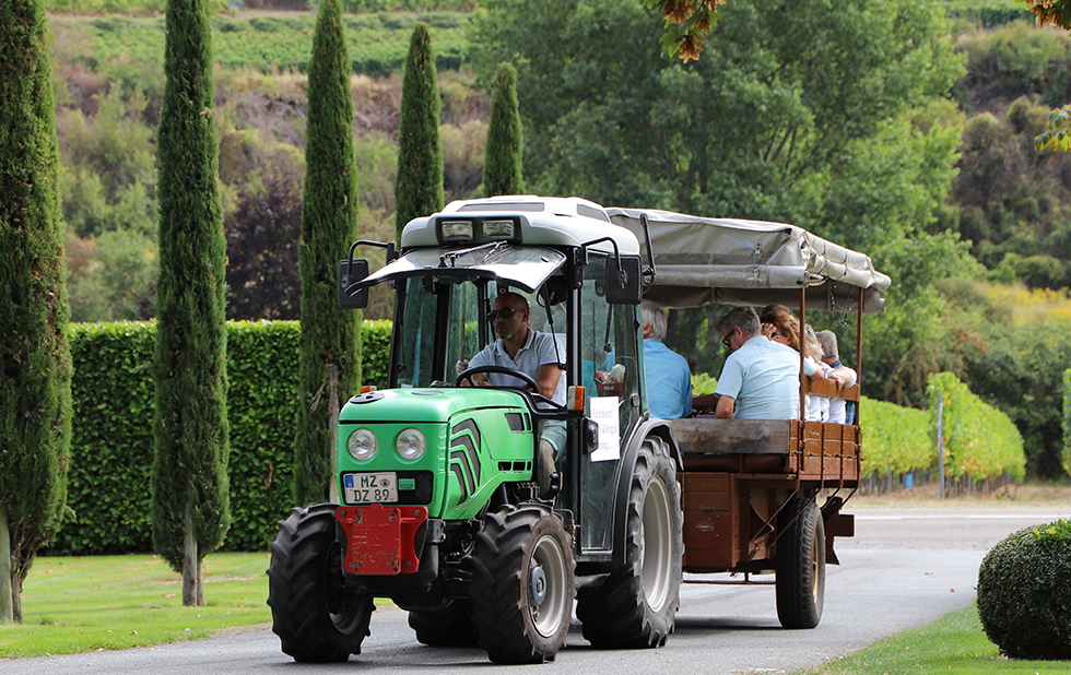 Events Im Weingut Gehring