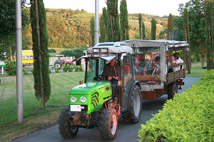 Weinlese anno dazumal