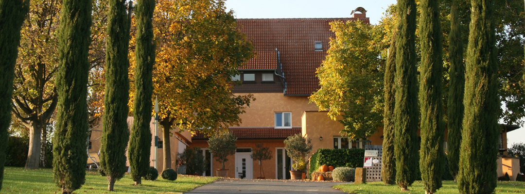 Weingut Gehring Einfahrt